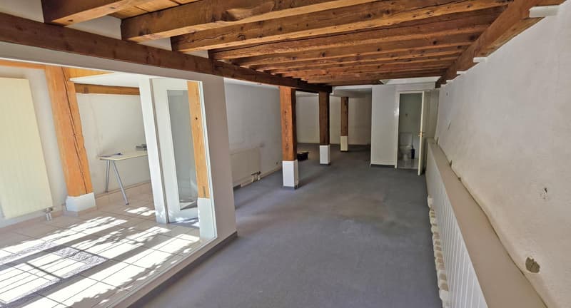 LOCAUX - BUREAUX - 68 M2 - OPEN SPACE - TRELEX (6)