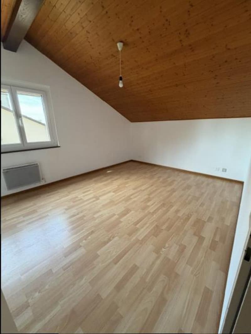 APPARTEMENT DUPLEX - 5 PIECES (étage et combles) - En rénovation (10)