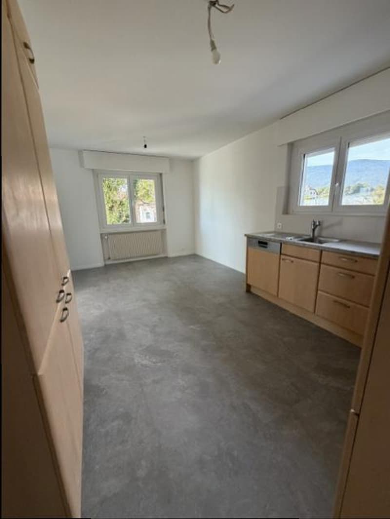 APPARTEMENT 4.5 PIECES AVEC JARDIN - ENTIEREMENT RENOVE (6)