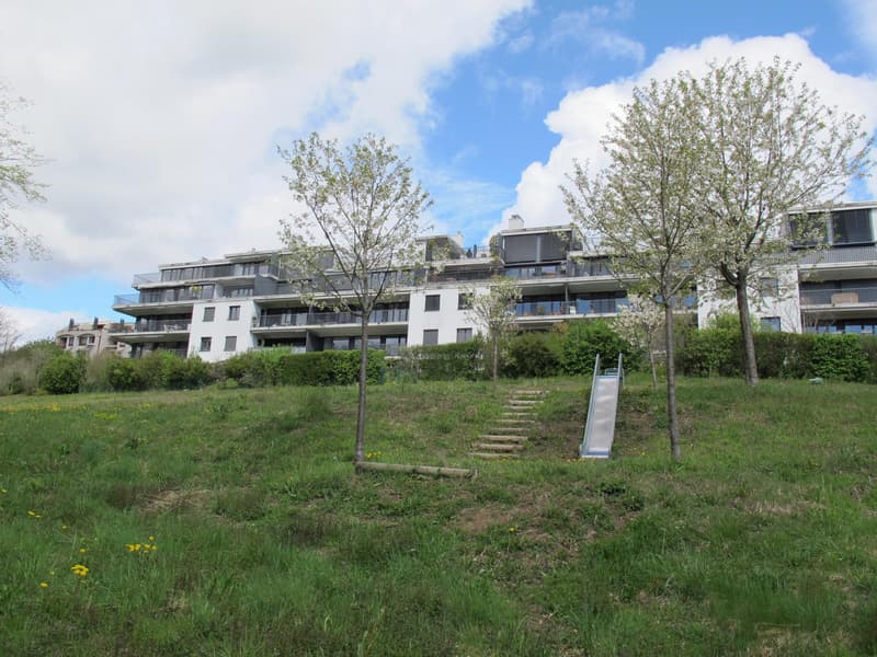 BEL APPARTEMENT-TERRASSE - NYON (2)