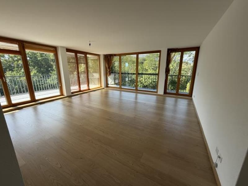 BEL APPARTEMENT-TERRASSE - NYON (4)