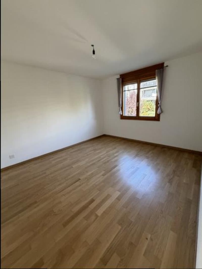 BEL APPARTEMENT-TERRASSE - NYON (12)