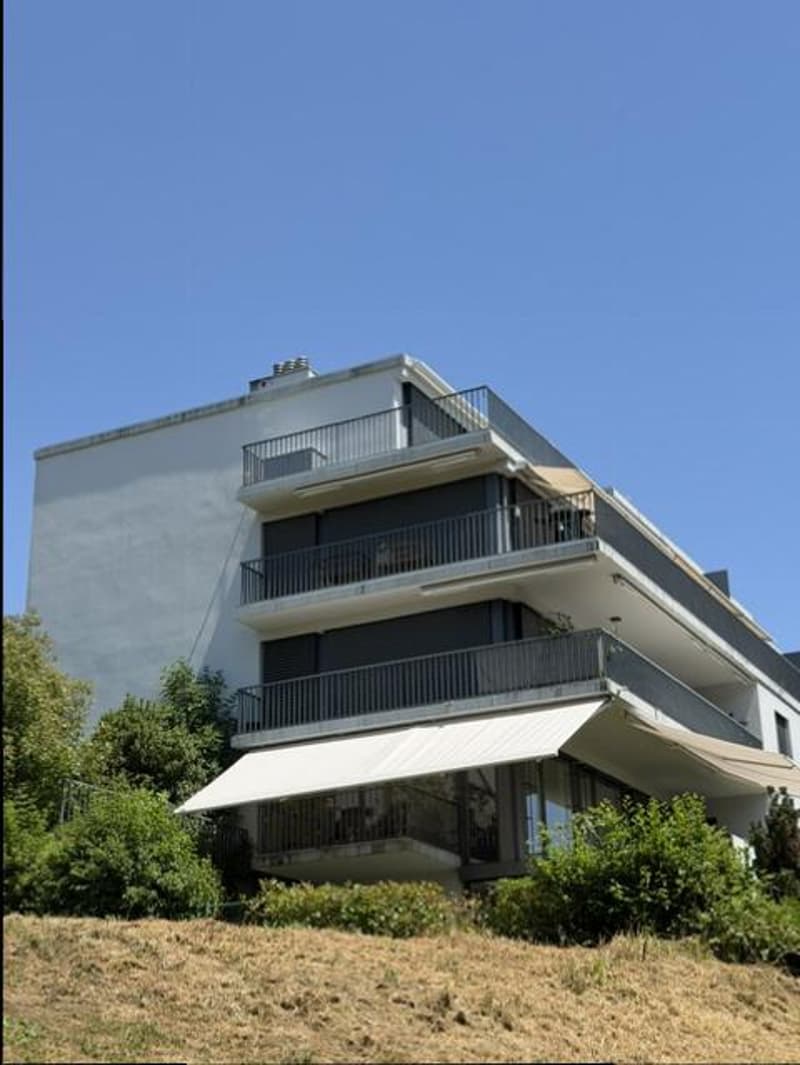 BEL APPARTEMENT-TERRASSE - NYON (3)