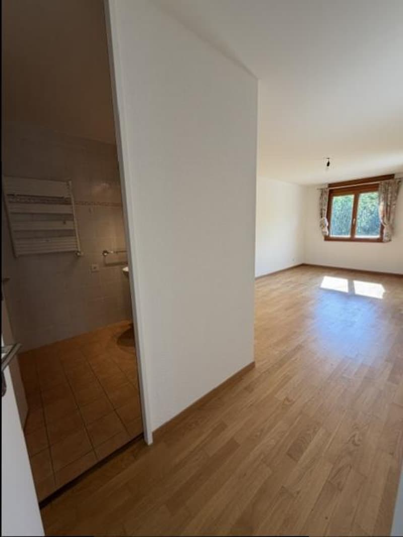 BEL APPARTEMENT-TERRASSE - NYON (8)