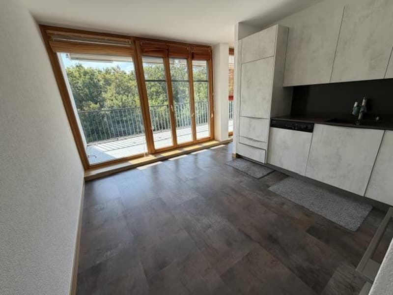 BEL APPARTEMENT-TERRASSE - NYON (7)