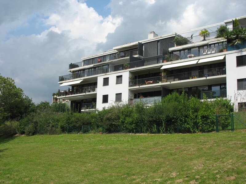 BEL APPARTEMENT-TERRASSE - NYON (1)