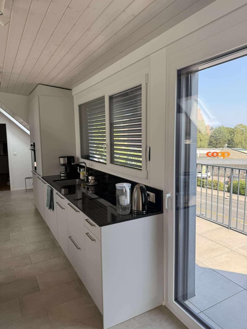 APPARTEMENT 2.5 PIECES + PLACE DE PARKING - MODERNE ET LUMINEUX (3)