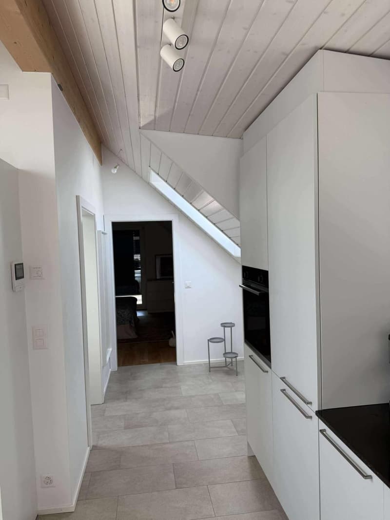 APPARTEMENT 2.5 PIECES + PLACE DE PARKING - MODERNE ET LUMINEUX (5)