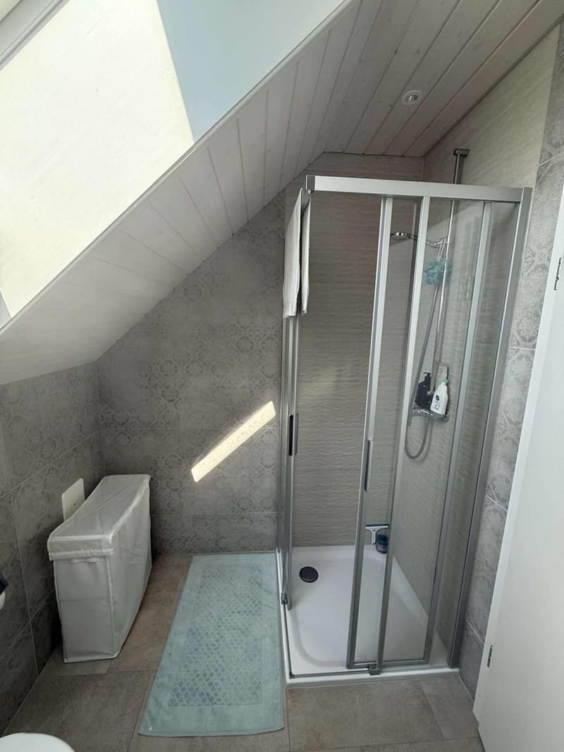 APPARTEMENT 2.5 PIECES + PLACE DE PARKING - MODERNE ET LUMINEUX (11)