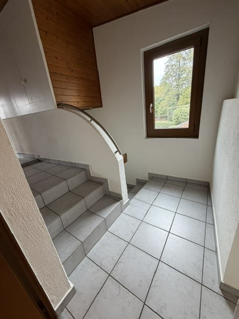 APPARTEMENT 2.5 PIECES - COINSINS (9)