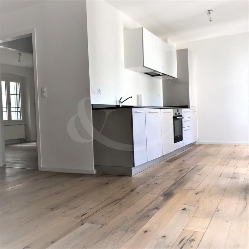 Rue des Etuves 14, Prächtiges Duplex mit 4.5 Zimmern (3)