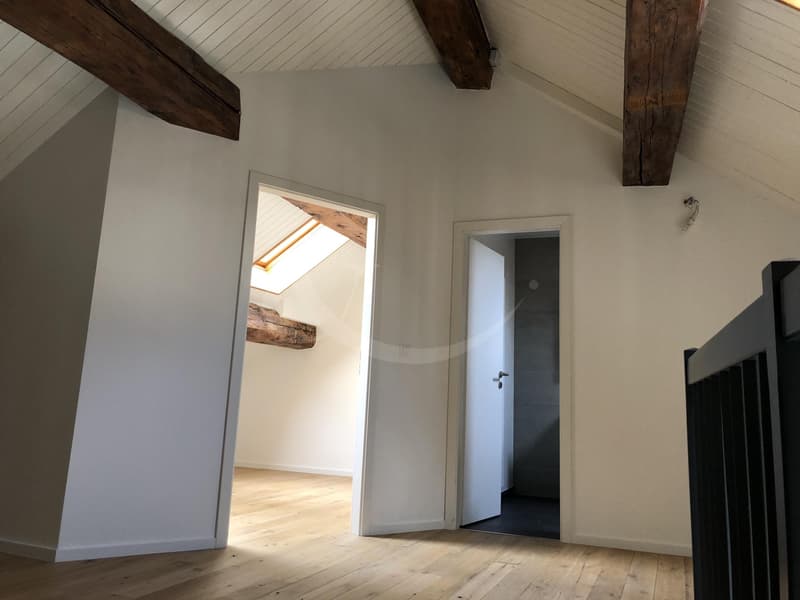 Rue des Etuves 14, Prächtiges Duplex mit 4.5 Zimmern (5)