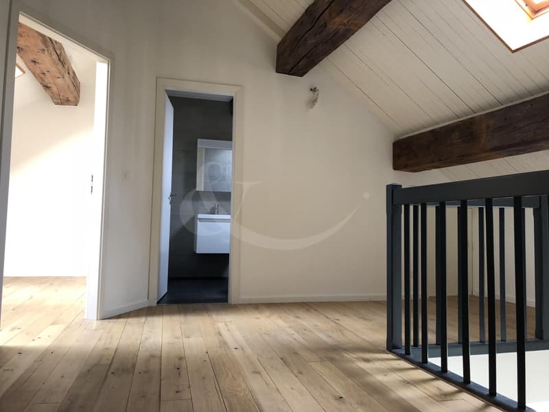 Rue des Etuves 14, Prächtiges Duplex mit 4.5 Zimmern (8)