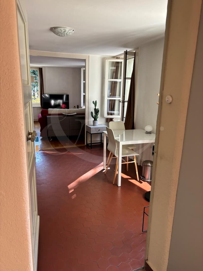 Rue Ancienne 27, Appartamento ARREDATO di 2.5 locali (2)
