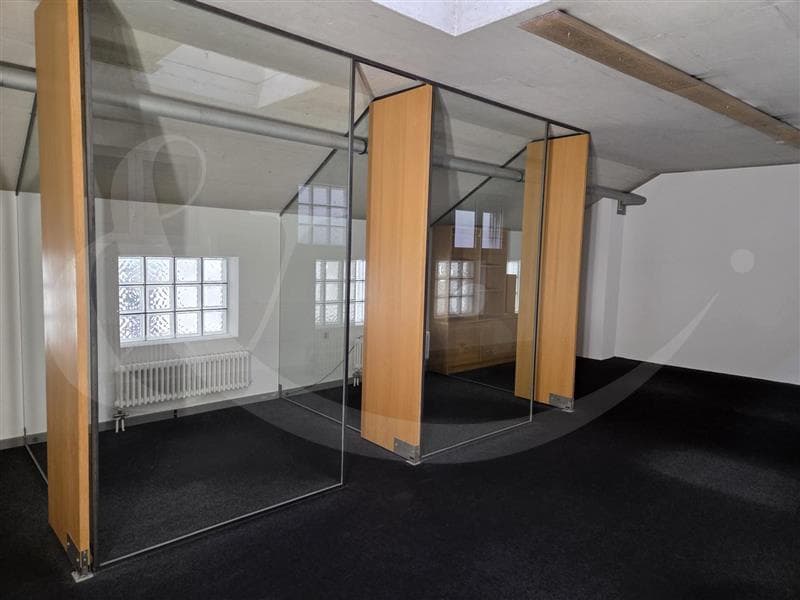 Rue Jean-Jaquet 8, Gewerbefläche von 322 m² (4)