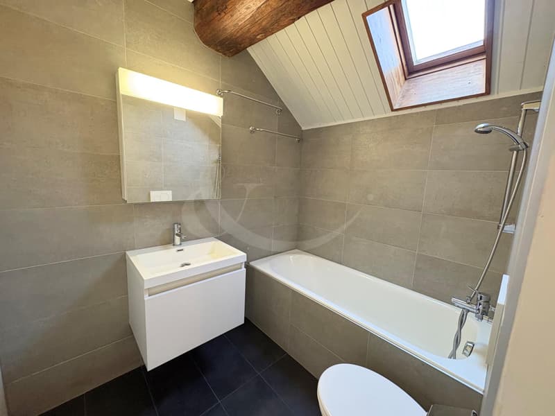 Elegant duplex-loft in the heart of Geneva ? just a stone's throw from the Quais des Bergues (5)