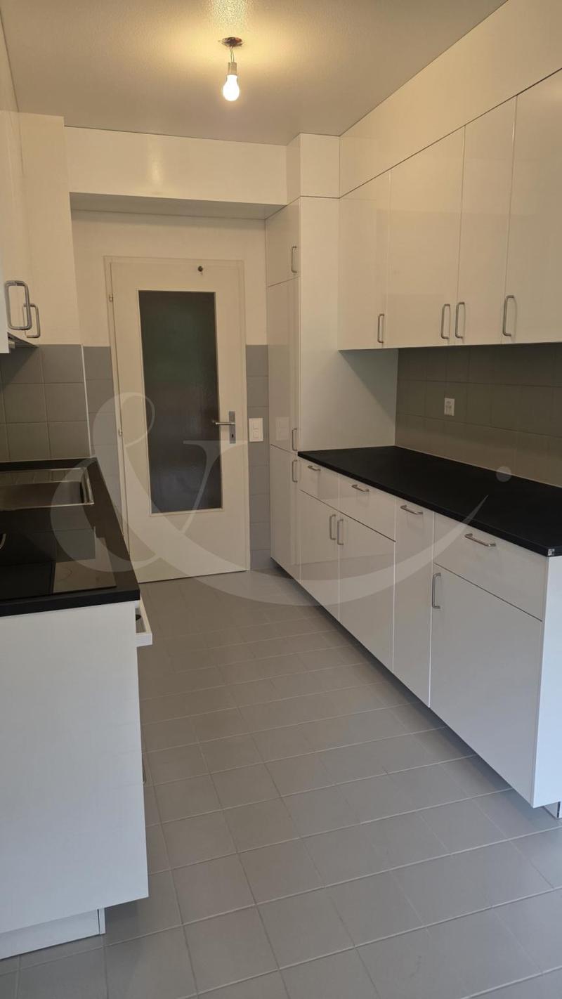 Rte de Frontenex 112, Superb 7-room apartment (4)