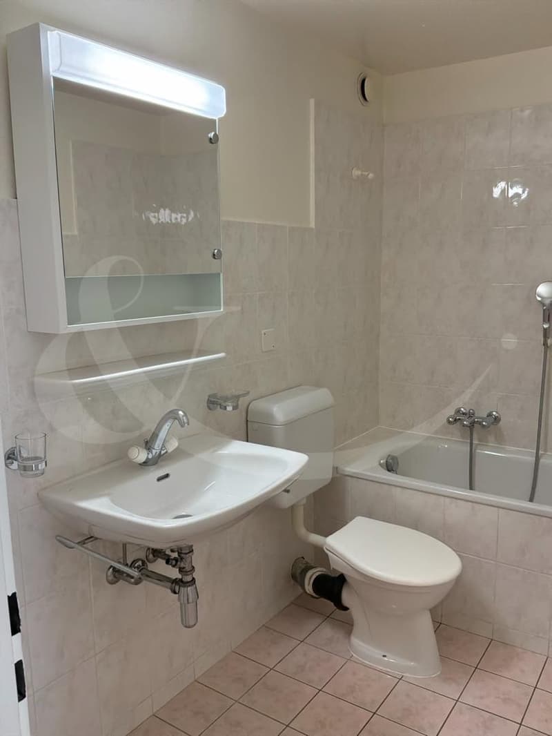 Rue de Carouge 12, Neuwertiges 3.5-Zimmer-Apartment (8)
