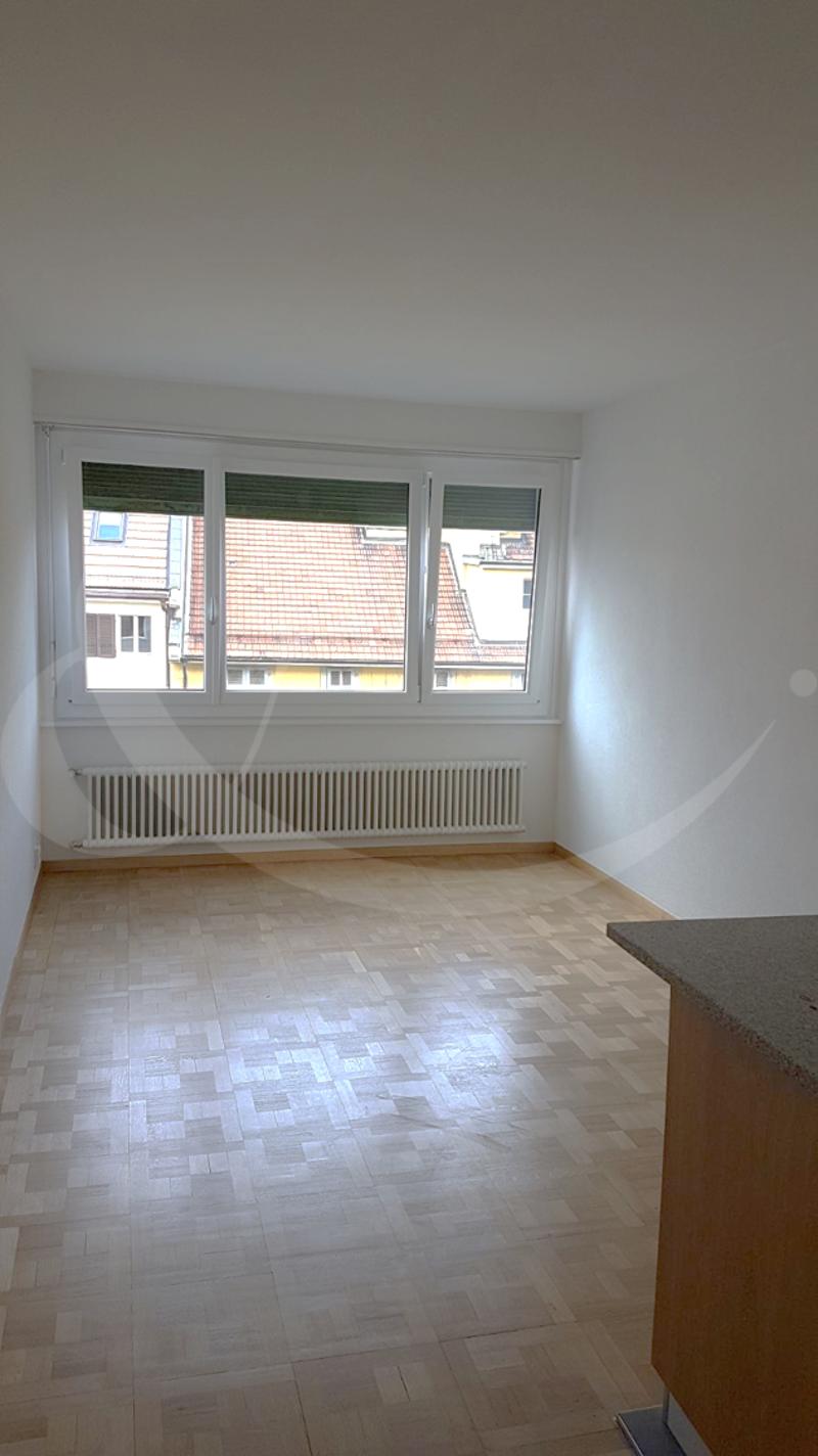13 Rue Sautter, appartamento di 1 stanza (3)