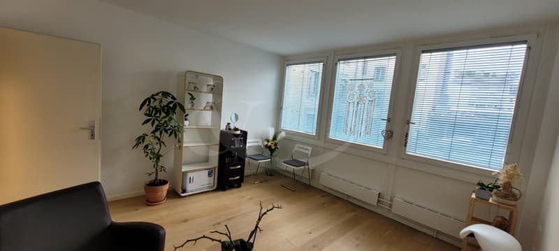 Rue Adrien-Lachenal 26 - Bureau de 17m2 au 1er étage (1)
