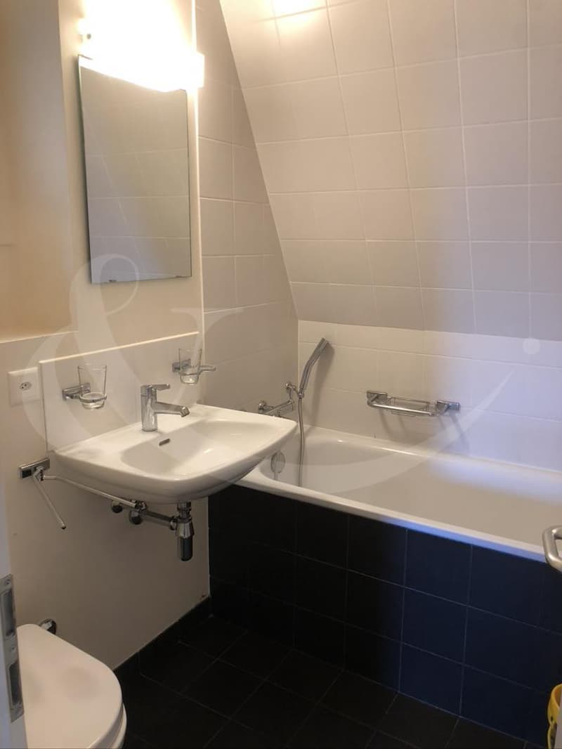 6 Rue Bautte, 3 Zimmer (3)