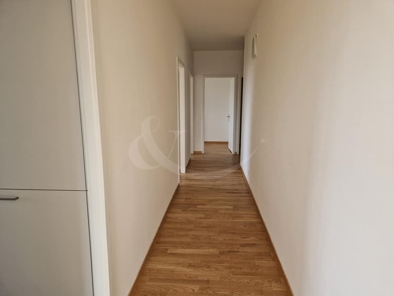 Rue du Grand-Bureau 19, Appartement de 5 pièces (12)