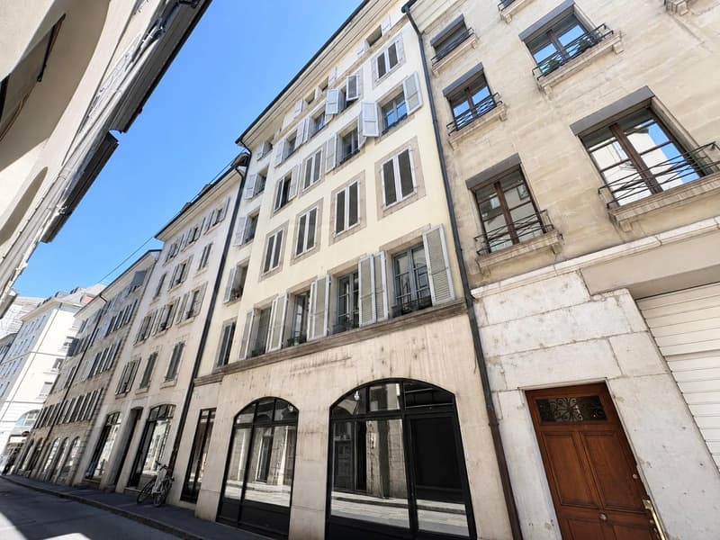 Elegante duplex-loft nel cuore di Ginevra - a due passi dai Quais des Bergues (6)