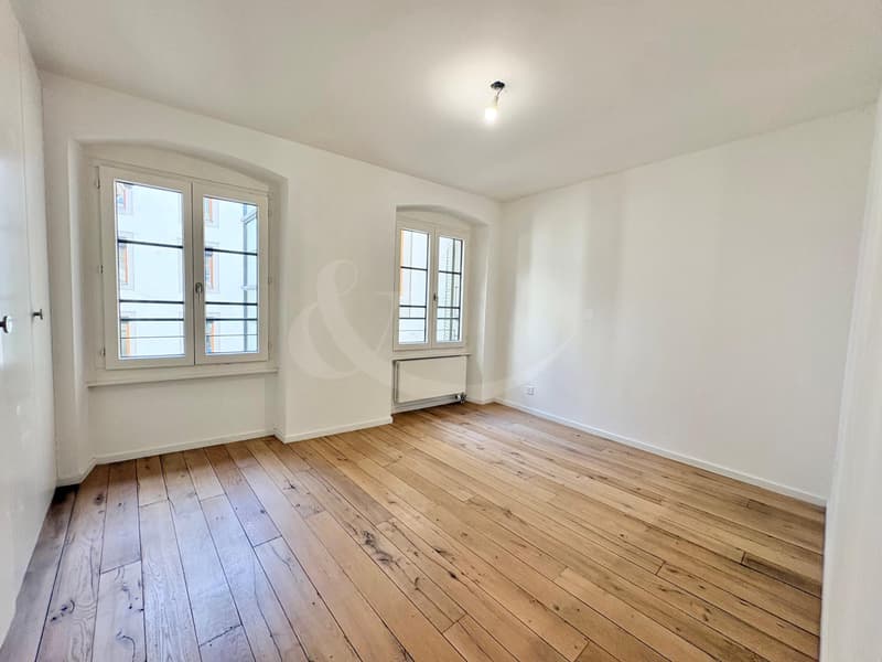 Elegante duplex-loft nel cuore di Ginevra - a due passi dai Quais des Bergues (4)