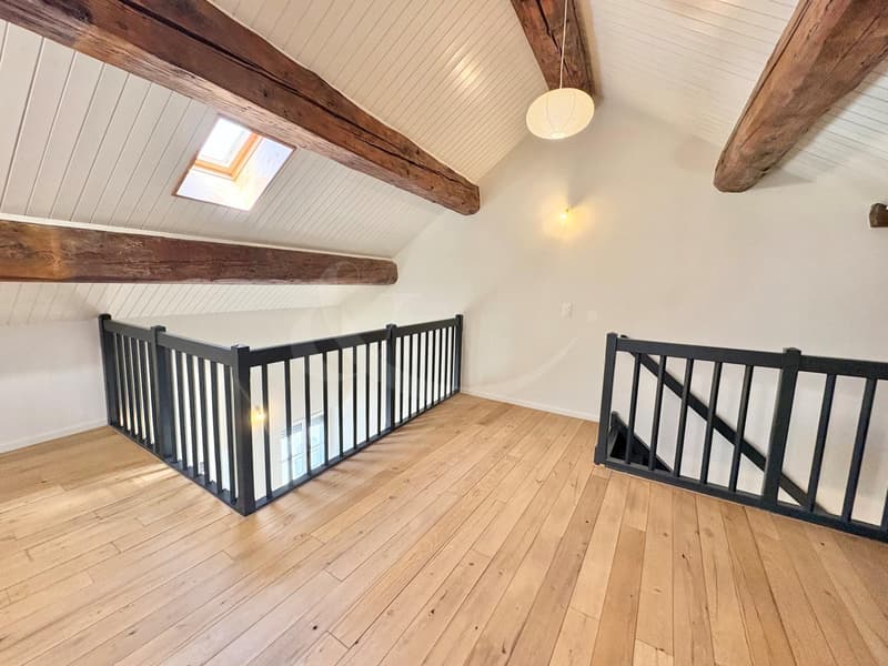 Elegante duplex-loft nel cuore di Ginevra - a due passi dai Quais des Bergues (3)