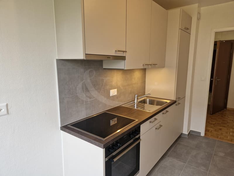 Rue Des Vernes 2, Renovated 1.5-room apartment (1)