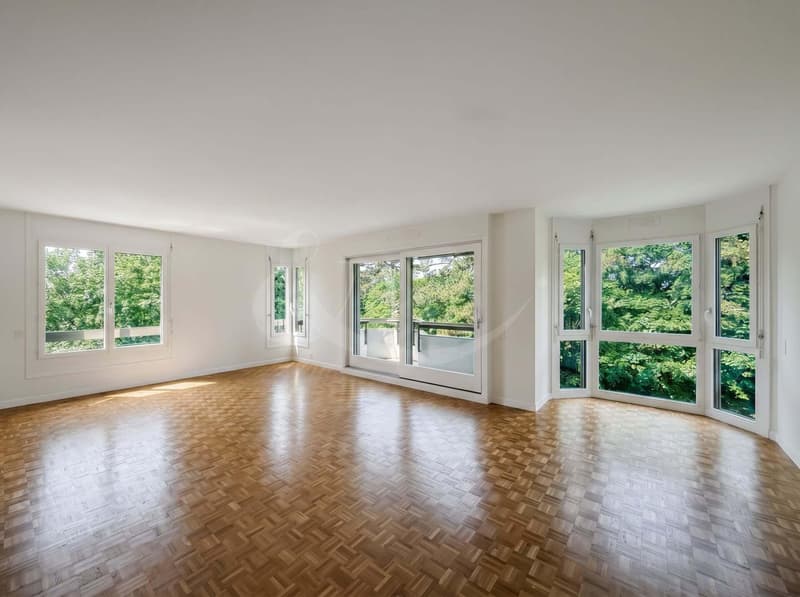 Wohnung mit 6 Zimmern - Florissant / Malagnou (3)