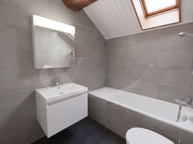 Elegant duplex loft in the heart of Geneva - just a few steps from Quais des Bergues (7)