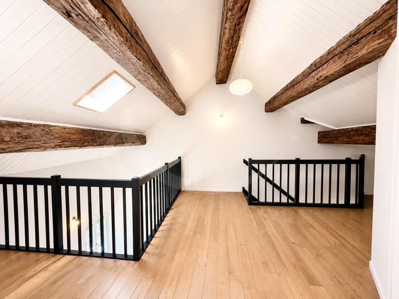 Elegant duplex loft in the heart of Geneva - just a few steps from Quais des Bergues (3)