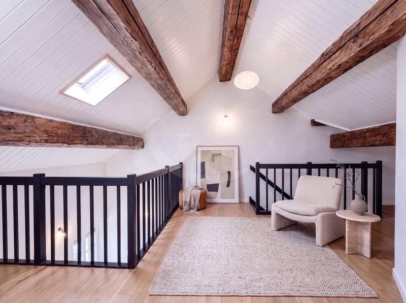 Elegant duplex loft in the heart of Geneva - just a few steps from Quais des Bergues (4)