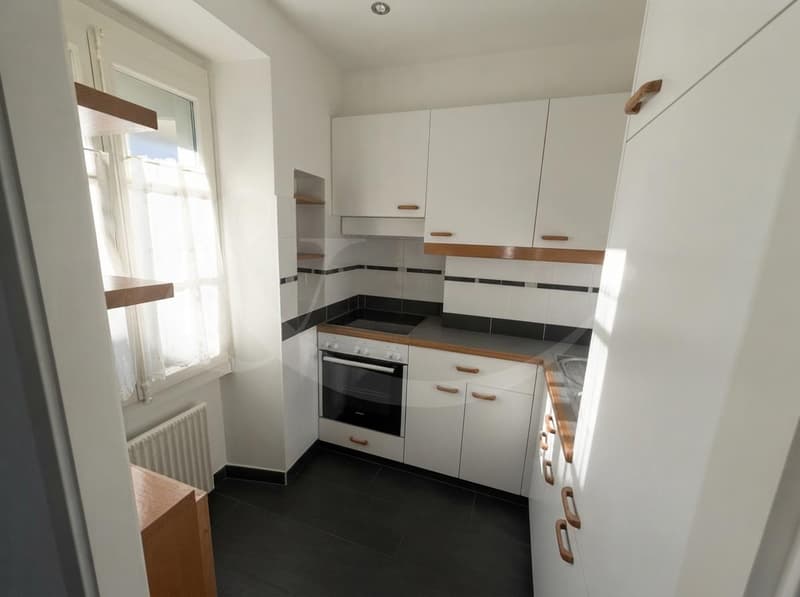 Rue Ancienne 27, Charmant appartement de 2.5 pièces à Carouge (3)