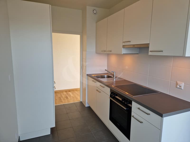 Rue Du Grand-Bureau 19, bel appartement de 5 pièces (1)
