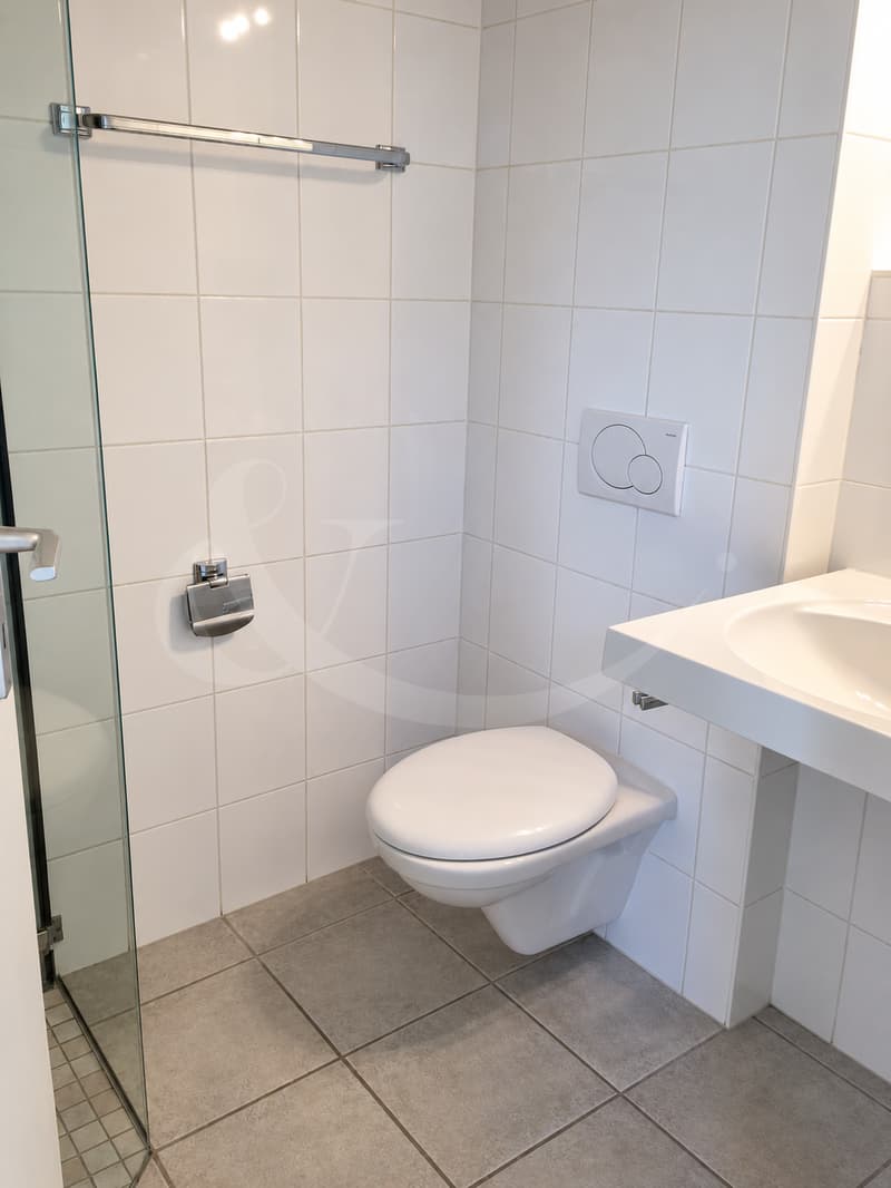 Jolie villa jumelle contemporaine de 7 pièces ? Avusy (8)