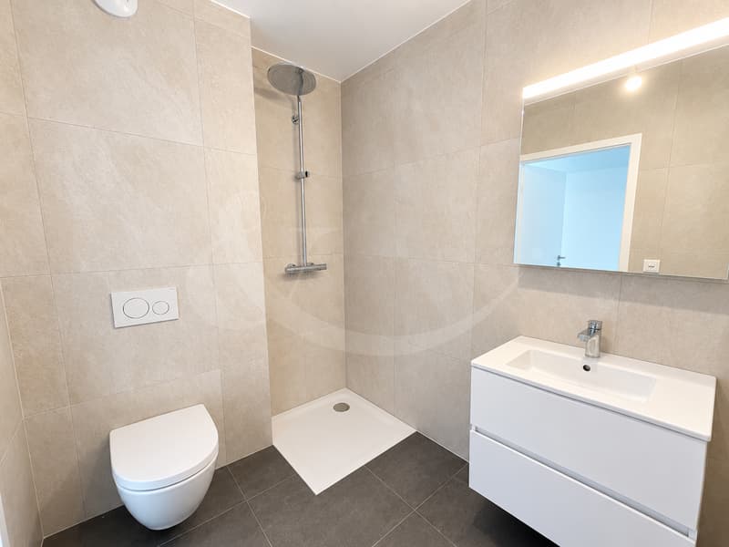 Exclusivité ? Appartement de 4 pièces et ses 64 m² de terrasses ? Nations - Servette (5)