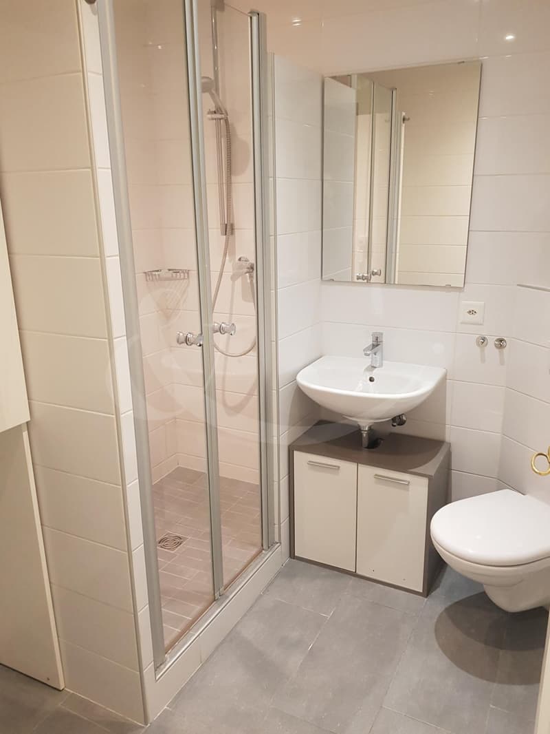 9 Rue des Eaux-Vives, 4 pièces (8)