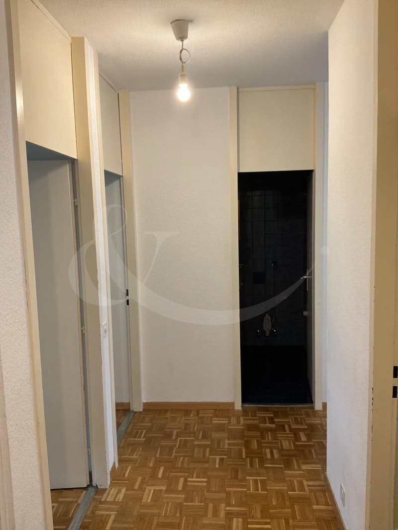 Rue Du Grand-Bureau 26, appartement de 4 pièces (5)
