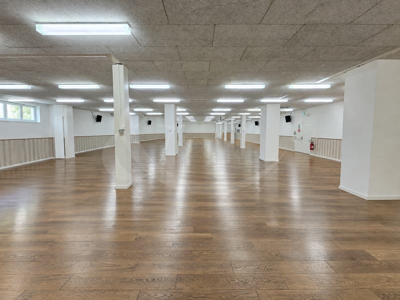 Carouge ? Surface commerciale de 745 m² au rez, en deux lots PPE, louée jusqu'en 2027 (3)