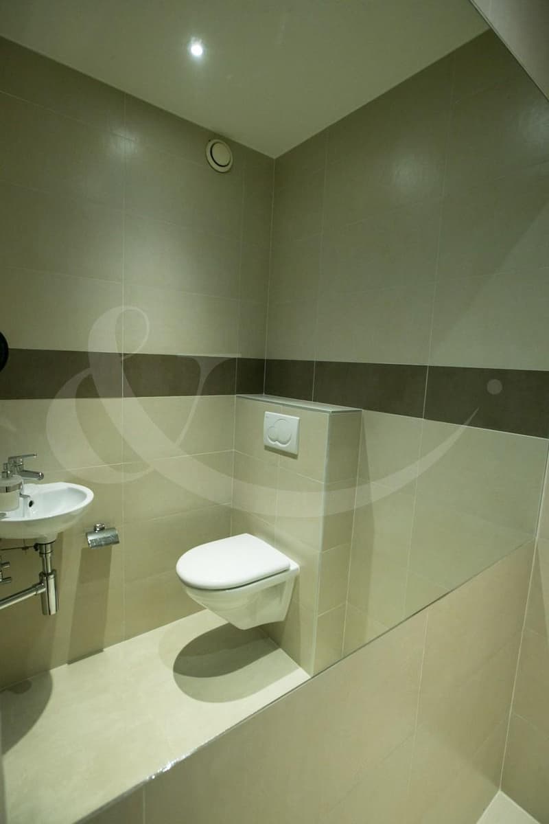 Rue de Vermont 62, espace professionnel lumineux de 478 m2 (7)