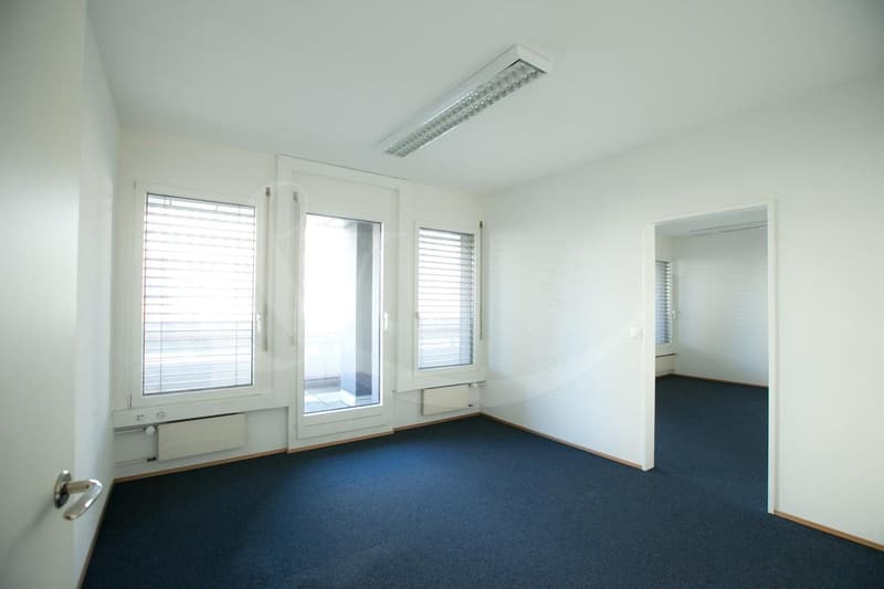 Rue de Vermont 62, espace professionnel lumineux de 478 m2 (4)