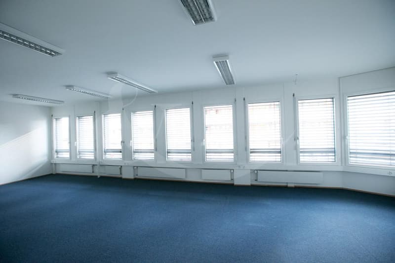 Rue de Vermont 62, espace professionnel lumineux de 478 m2 (3)