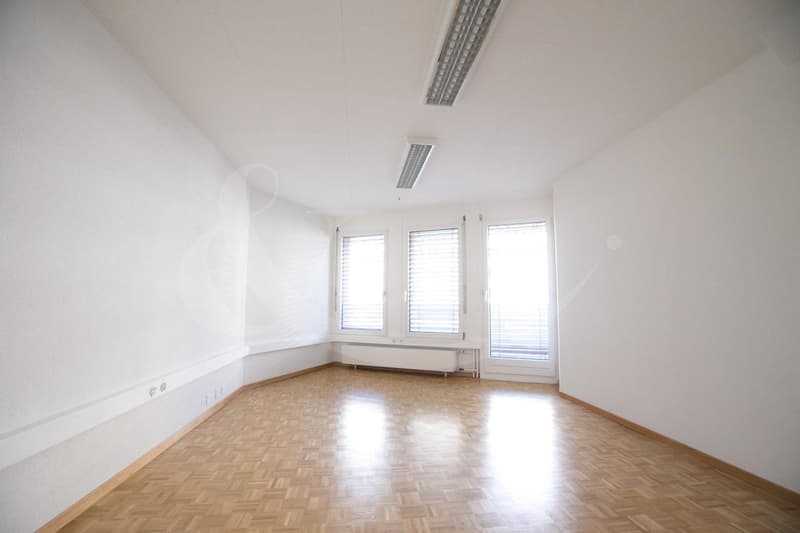 Rue de Vermont 62, espace professionnel lumineux de 478 m2 (5)
