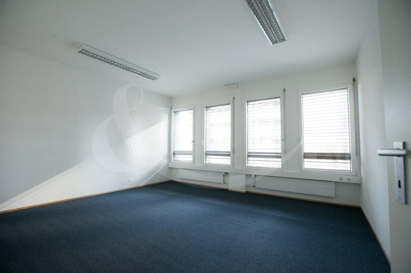 Rue de Vermont 62, espace professionnel lumineux de 478 m2 (1)
