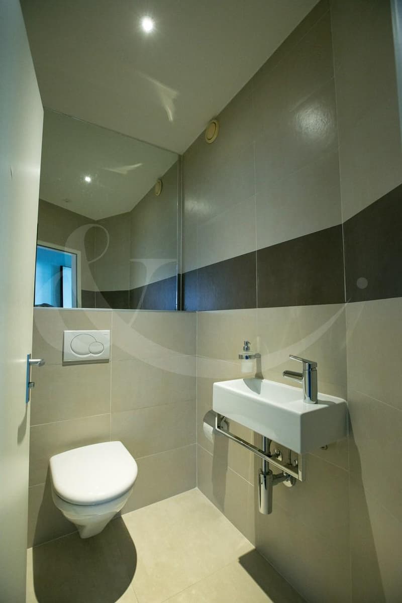 Rue de Vermont 62, espace professionnel lumineux de 478 m2 (8)