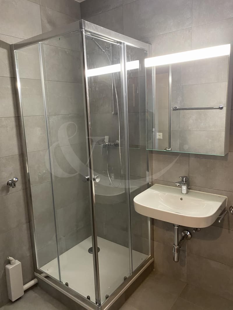 Route D'hermance 139, joli appartement rénové de 2 pièces (3)