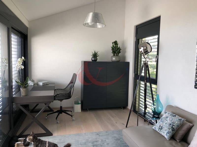 Residenza contemporanea con vista sul lago e le Alpi - La Conversion (6)