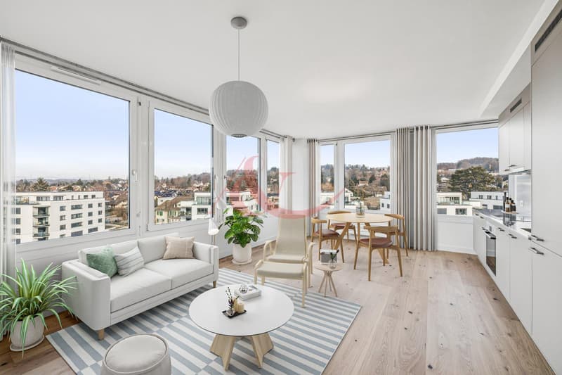 Bright 3.5-room apartment (1)